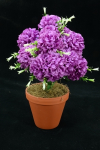 Purple Carnation-Mum Bush x12  (Lot of 1) SALE ITEM